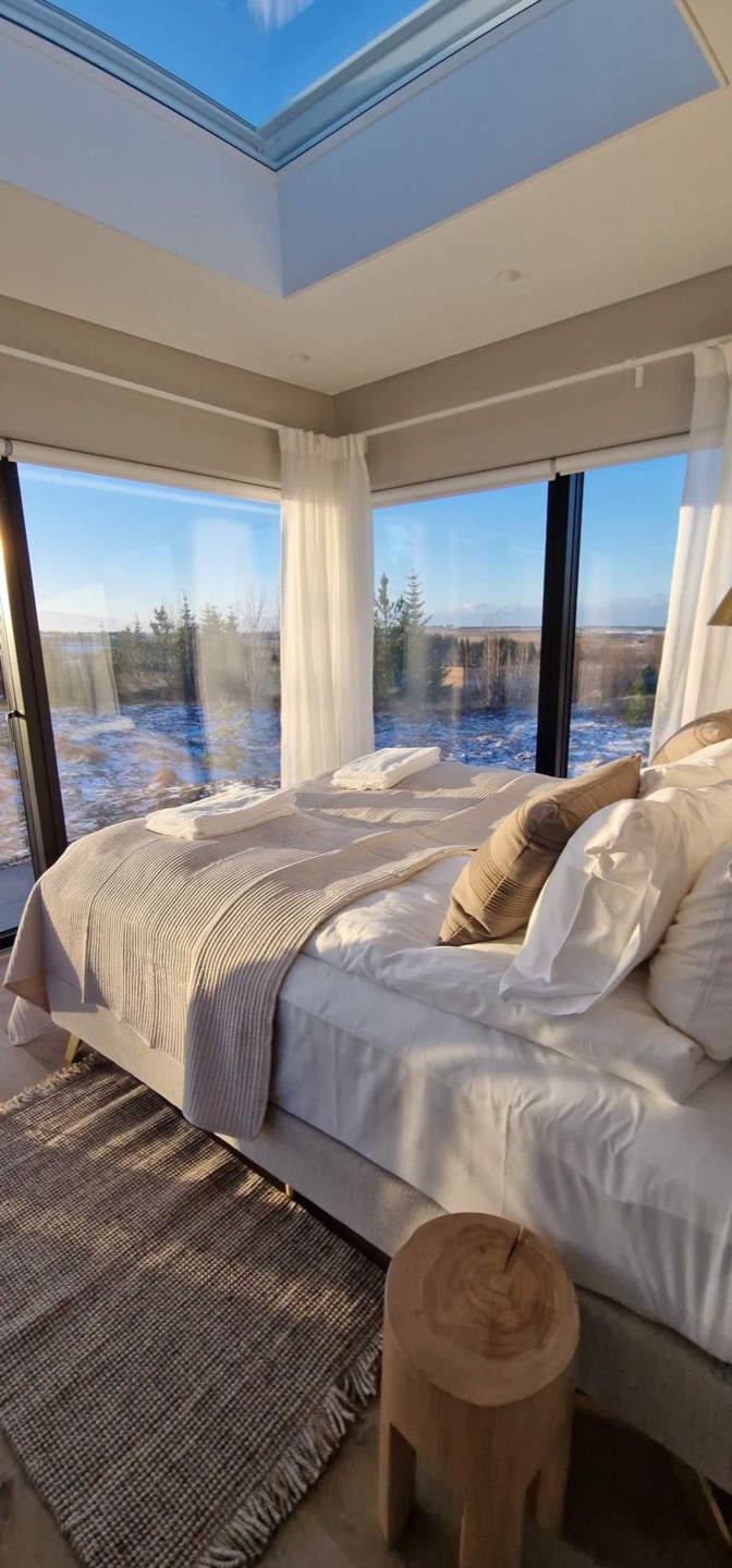 The bed beneath the skylight, glass walls onto the heath with snow lying between the low spruce