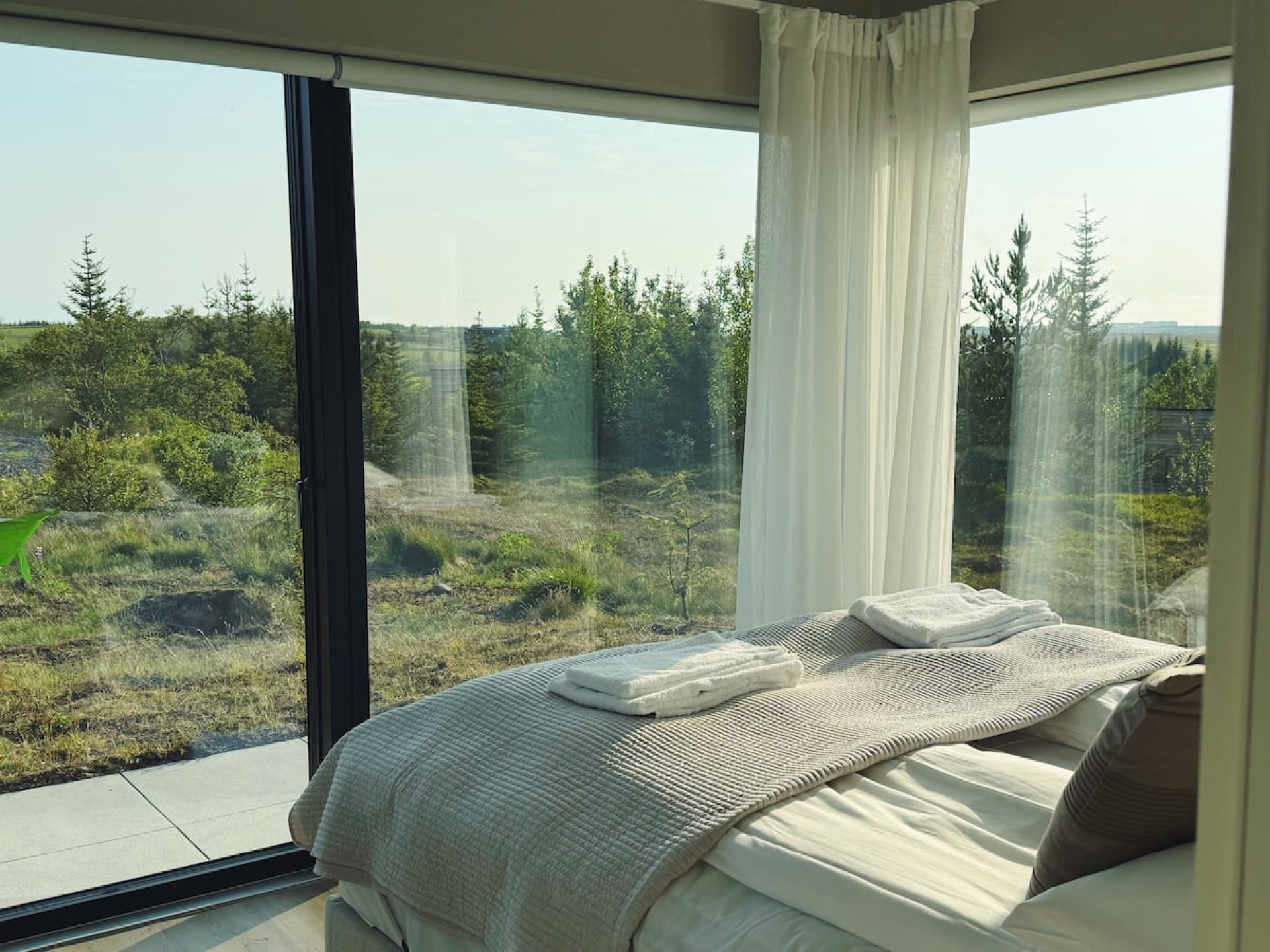 The same glass wall in winter, snow on the birches beyond the bed