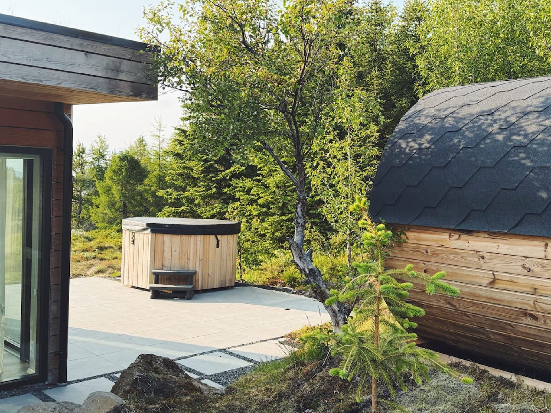 The barrel sauna between the birches