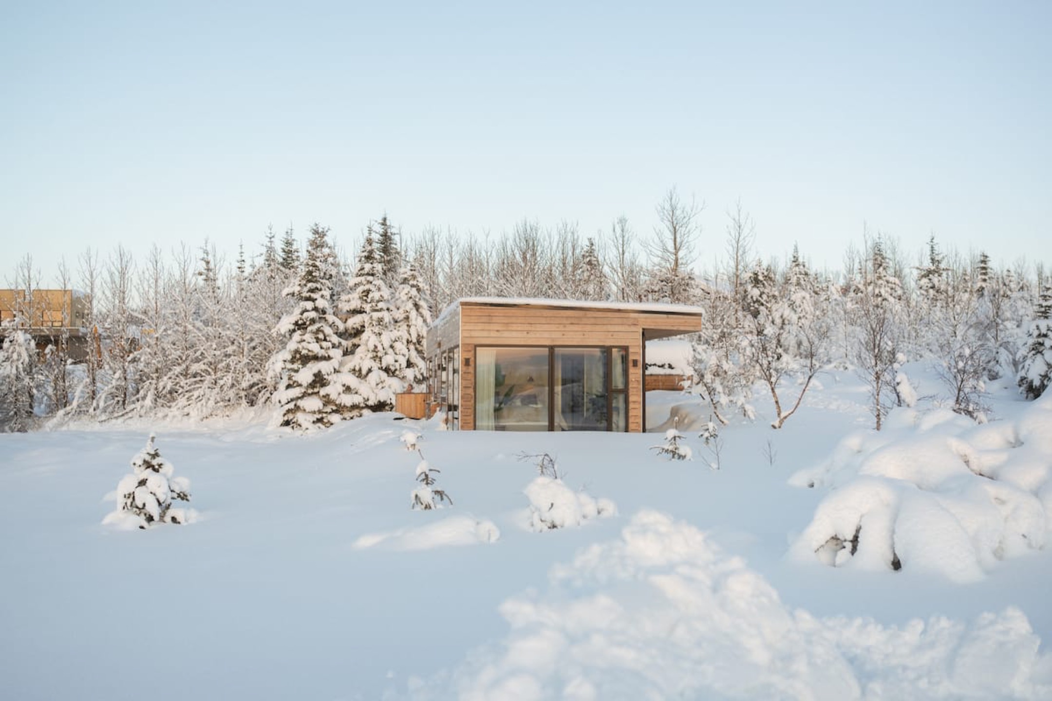 The house alone in deep snow, frosted birch scrub in every direction